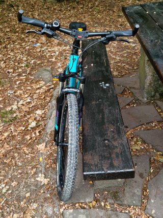 Bicicleta Trek Skye SL
