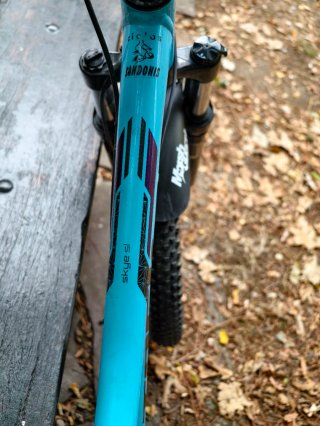 Bicicleta Trek Skye SL