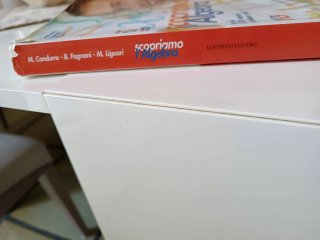 Scopriamo l'algebra. Per gli Ist. professionali...