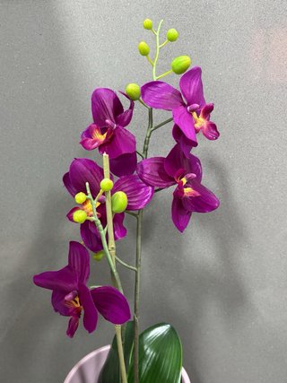 Orquídea Artificial Morada en Maceta Rosa