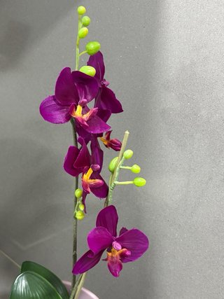 Orquídea Artificial Morada en Maceta Rosa