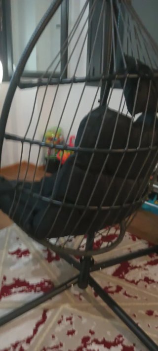Silla Colgante Negra con Soporte