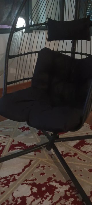 Silla Colgante Negra con Soporte