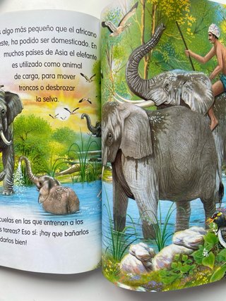 Libro para niños, animales del mundo