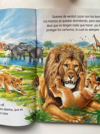 Libro para niños, animales del mundo