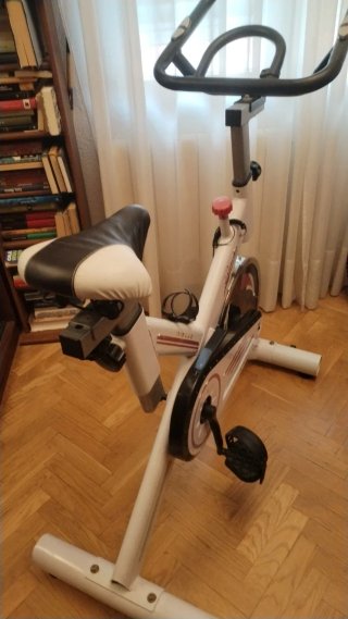 Bicicleta Estática Risch