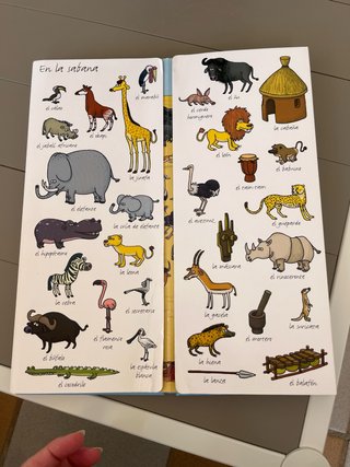Busca y encuentra en el mundo