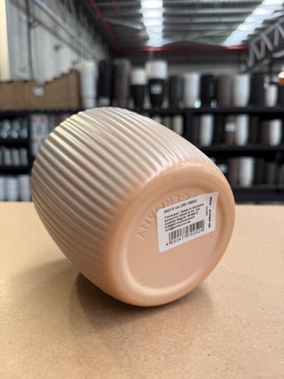 Maceta Cerámica Scheurich Beige Ø12cm