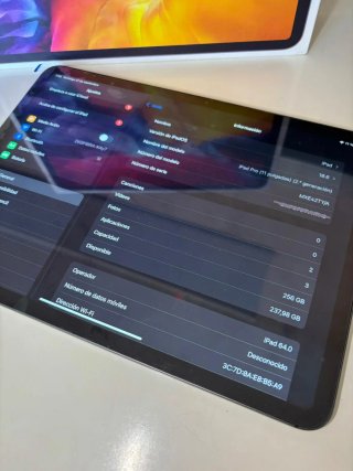 iPad Pro 11 2ª Gen 256GB