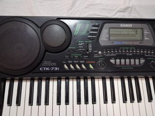 Teclado Casio CTK-731