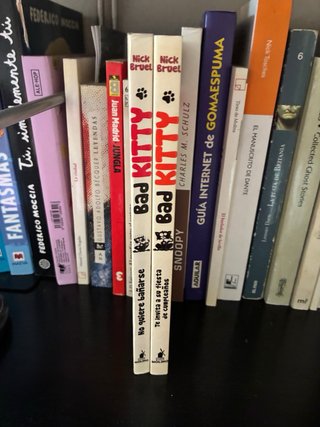 Libros juveniles