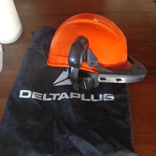 Caschetto forestale DELTAPLUS arancione