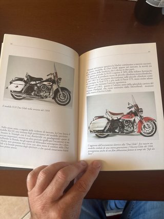 Harley Davidson. Cento anni di moto formidabili