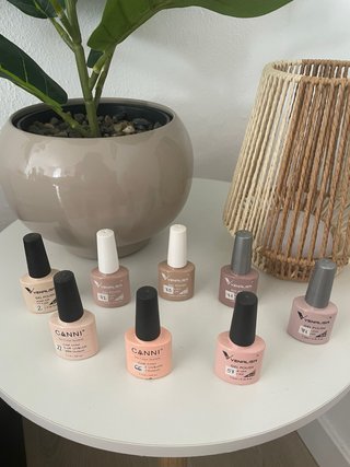 Esmaltes semipermanentes CANNI