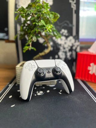 Mando PS5 Blanco DualSense
