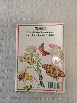 Libro Mariposas su saeta ilustrado
