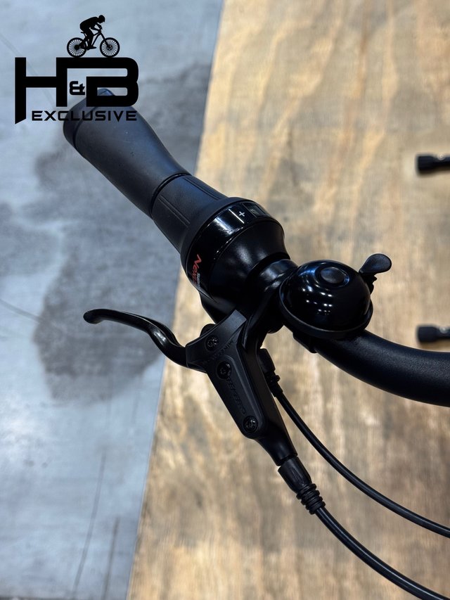 Diamant Beryll Gen 3 Shimano Nexus 2024