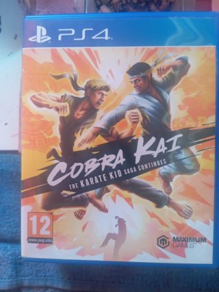Juego PS4 Cobra Kai: The Karate Kid Saga Continues