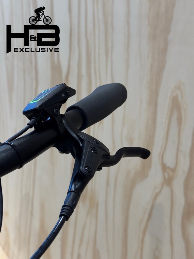 Diamant Beryll Gen3 Shimano Nexus 2024