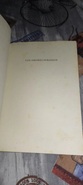 Los amores perdidos