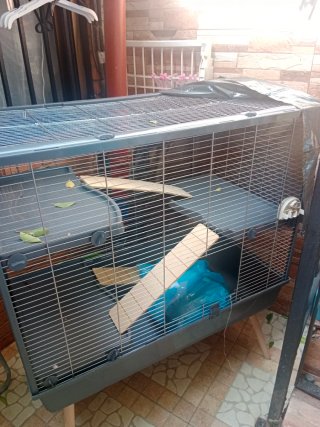Jaula para conejos, hurones, cobayas