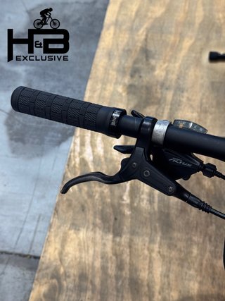 Giant Explore E+ 2 Shimano Alivio 2022