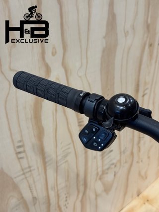 Giant Explore E+ 2 Shimano Alivio 2022