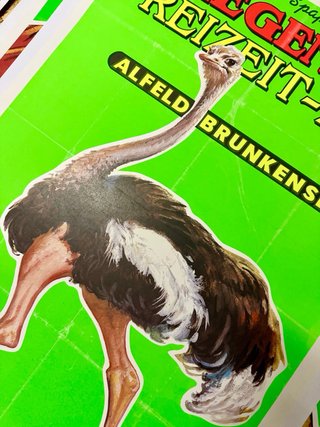 Poster Fliegenpilz Freizeit-Zoo Alfeld