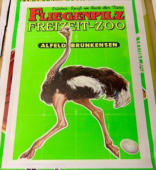 Poster Fliegenpilz Freizeit-Zoo Alfeld
