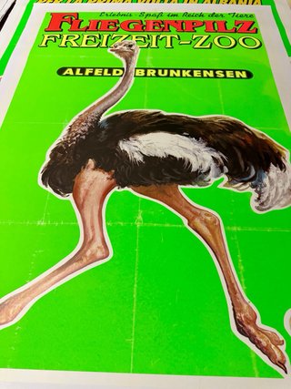 Poster Fliegenpilz Freizeit-Zoo Alfeld