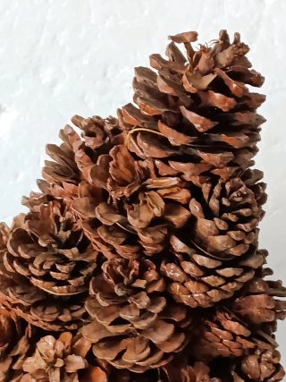 Albero per presepe