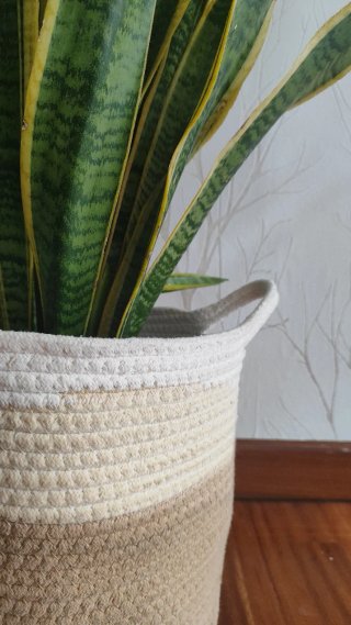 Maceta beige y marrón