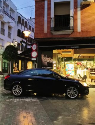 Opel Cabrio 2009