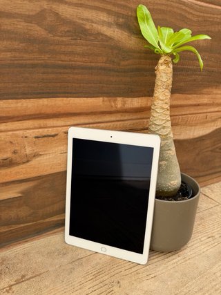 iPad Pro 9.7 1ª Gen 32GB Plata