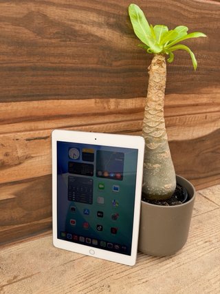 iPad Pro 9.7 1ª Gen 32GB Plata