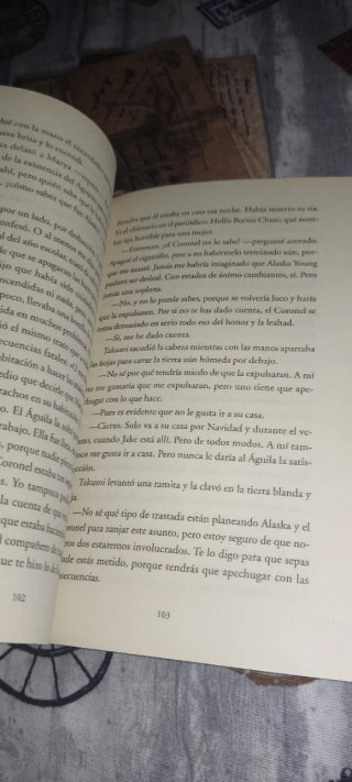 Buscando a Alaska