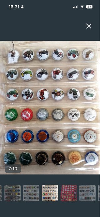 Chapas Cava y Champagne Colección