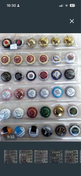 Chapas Cava y Champagne Colección