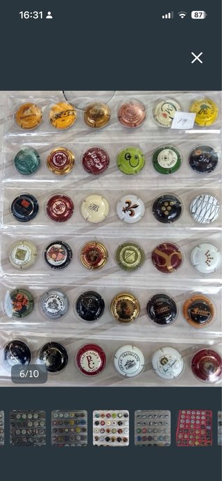Chapas Cava y Champagne Colección