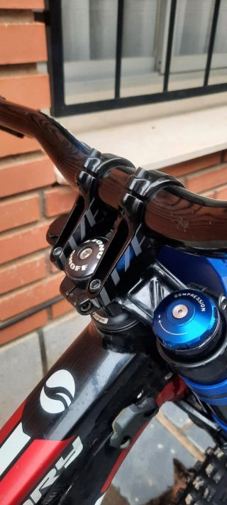 Bicicleta de Descenso Giant Glory