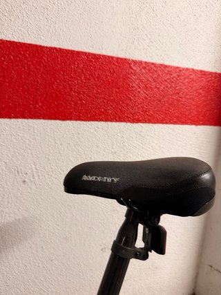Bicicleta Monty Negra Mate con Estriberas