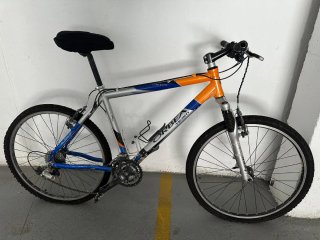 Bicicleta de Montaña Orbea Team