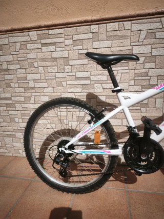 Bicicleta de Montaña NEON