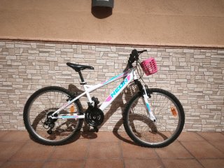 Bicicleta de Montaña NEON