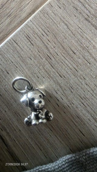Charms Pandora