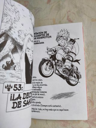 Manga de Naruto
