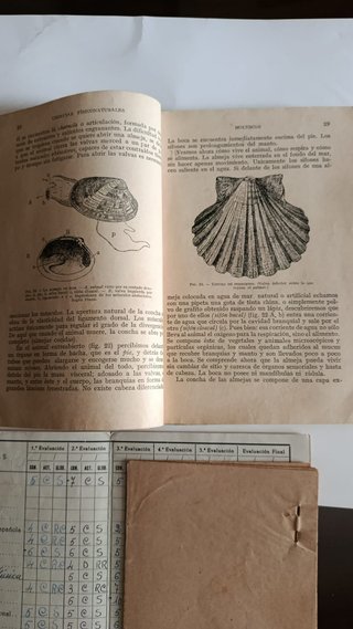 INICIACION A LAS CIENCIAS FISICONATURALES