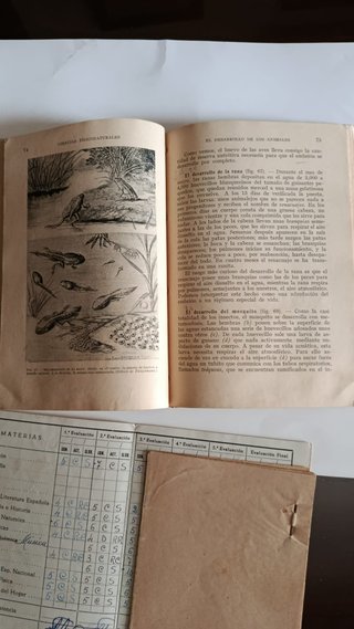 INICIACION A LAS CIENCIAS FISICONATURALES
