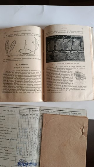 INICIACION A LAS CIENCIAS FISICONATURALES