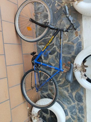 Bicicleta de Montaña Azul